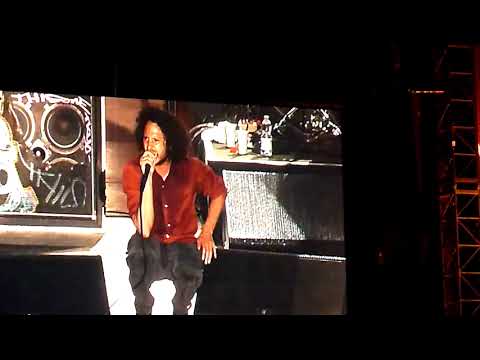 Rage Against the Machine Live at Rock im Park 2015 🎸