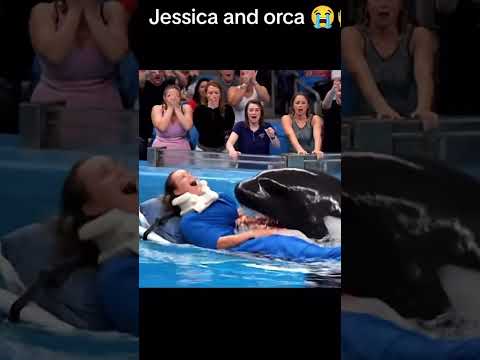 Jesica orca death #jesica #orca #fish #trainer #show #viral #fypã‚·