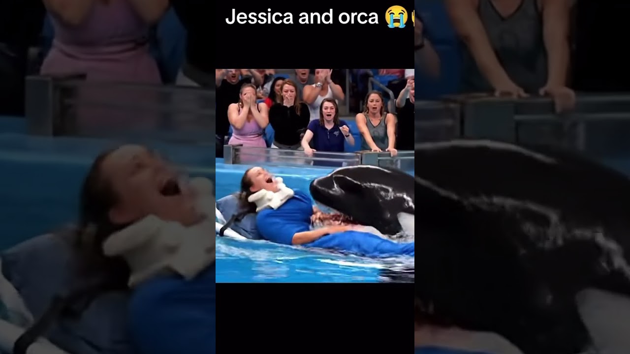 Jesica the Orca's Tragic Death 🐋