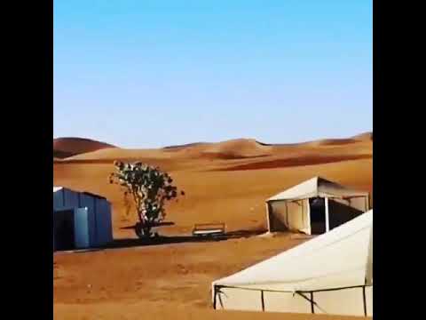 Mhamid Berber Desert Excursion 🏜️
