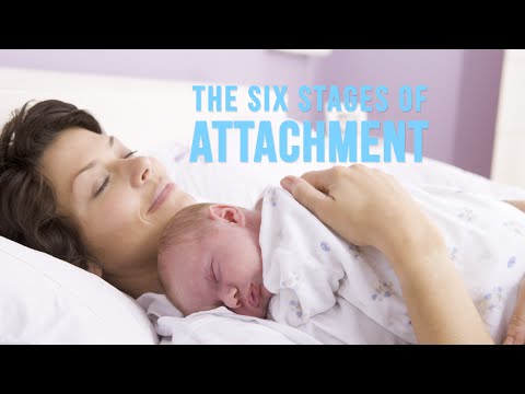The Six Stages of Attachment Parenting