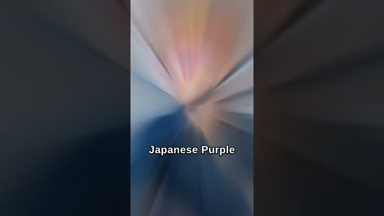 Army's Secret Use of Cryptography Revealed ๐