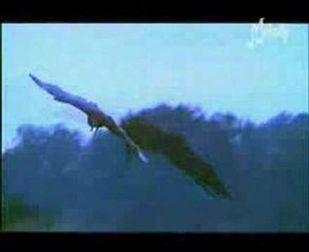 Les mariés de Vendée