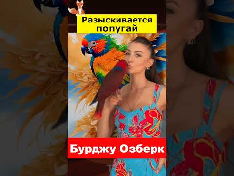 Бурджу Озберк просит помощи у поклонников