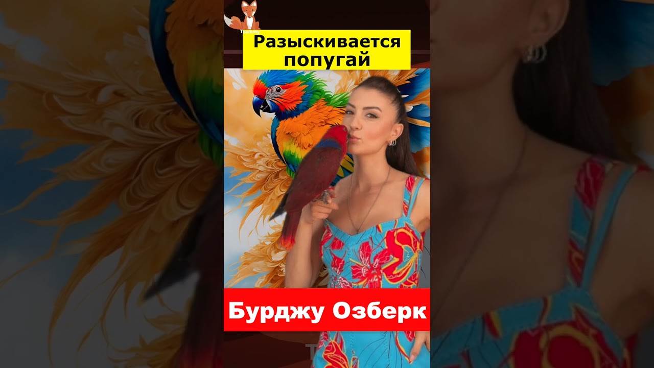 Бурджу Озберк обращается за поддержкой 💖