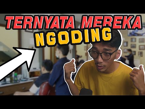 Belajar Coding Untuk Pemula Mulai Dari Mana Dulu?