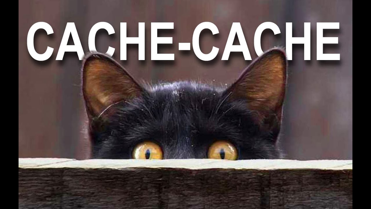 CACHE-CACHE - Parole de Chat 🐾