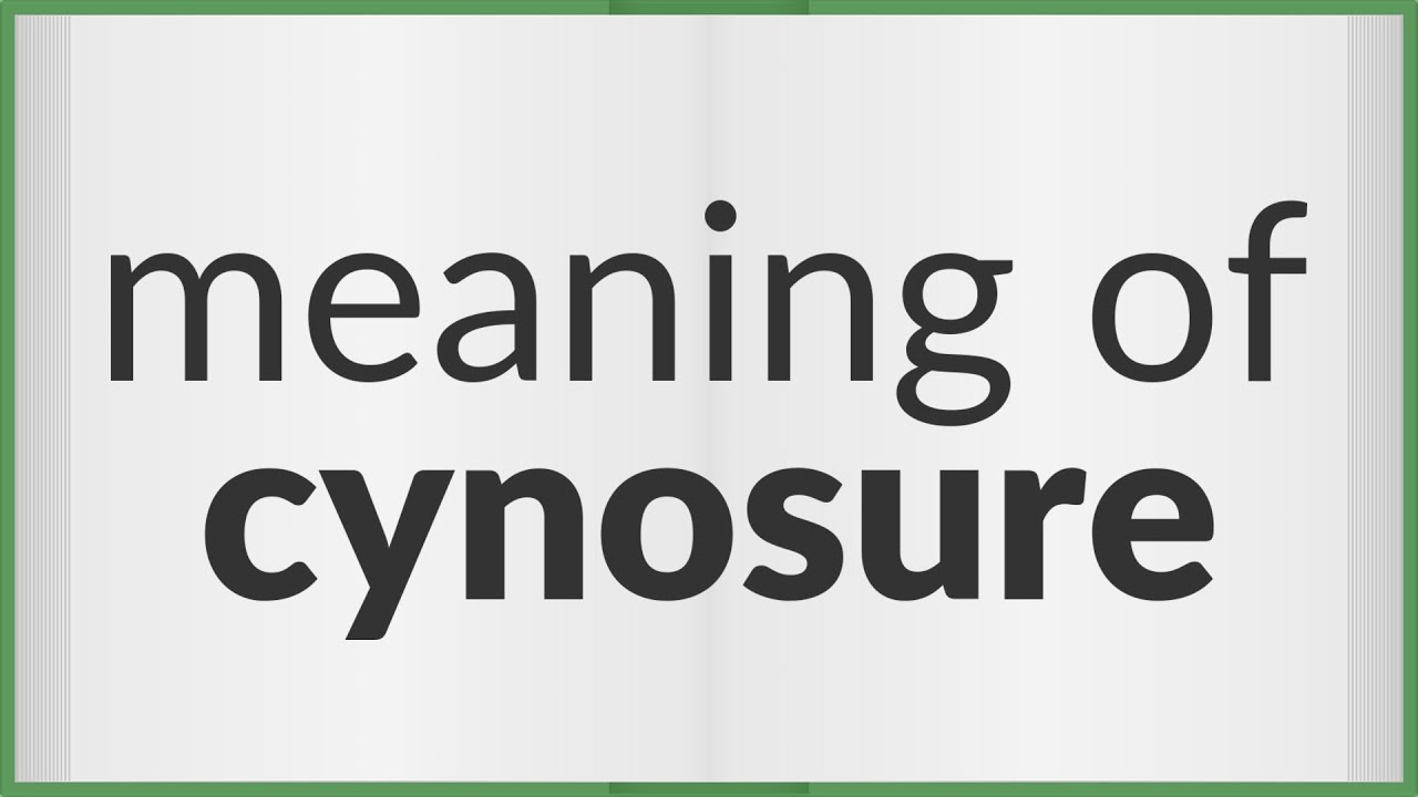 Cynosure | meaning of Cynosure