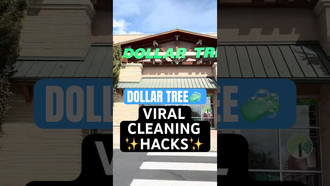 Viral Dollar Tree Cleaning Hacks 🧼✨