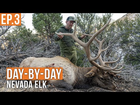BIG BULL DOWN! | Nevada Elk Hunt Day-by-Day (EP.3)