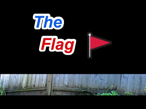 Capture the Flag (CTF) Explained In Under a Minute - Cybersecurity Basics #cute #cybersecurity #ctf
