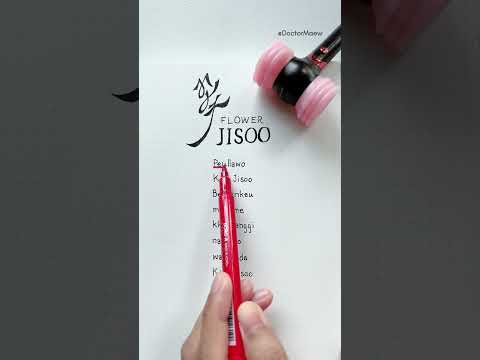 JISOO - 꽃 (FLOWER) Fanchant #jisoo #jisoo #flower #kpop #concert #blackpink #fanchant #bp #yg