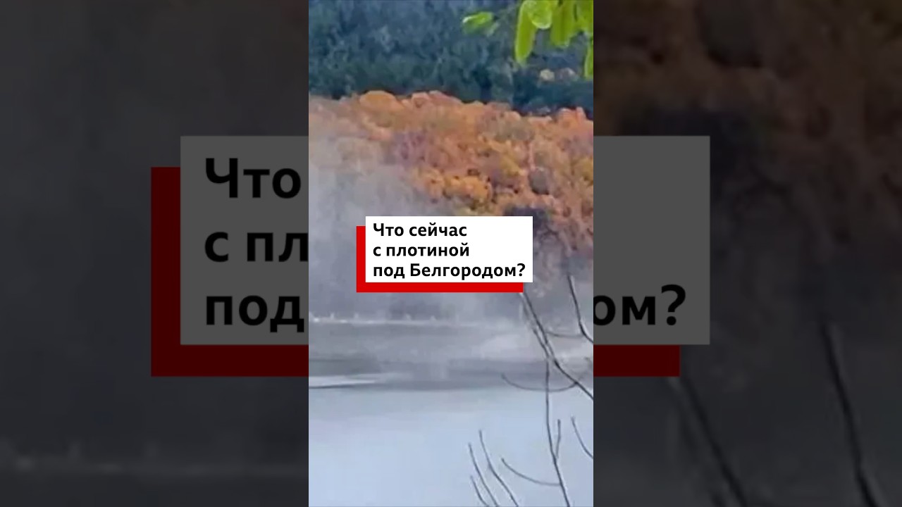 Обновление: Что происходит с плотиной в Белгородской области? 🛑