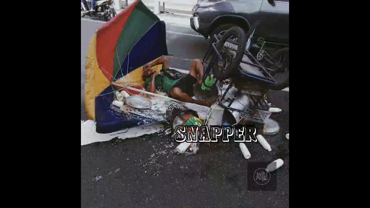 Snapper - Get Well Soon 🎶