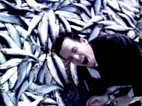 Filter - Jurassitol (Official Video) 🎥