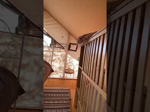 Глэмпинг Зелёный Остров в Челябинской области | Трипинглэмп