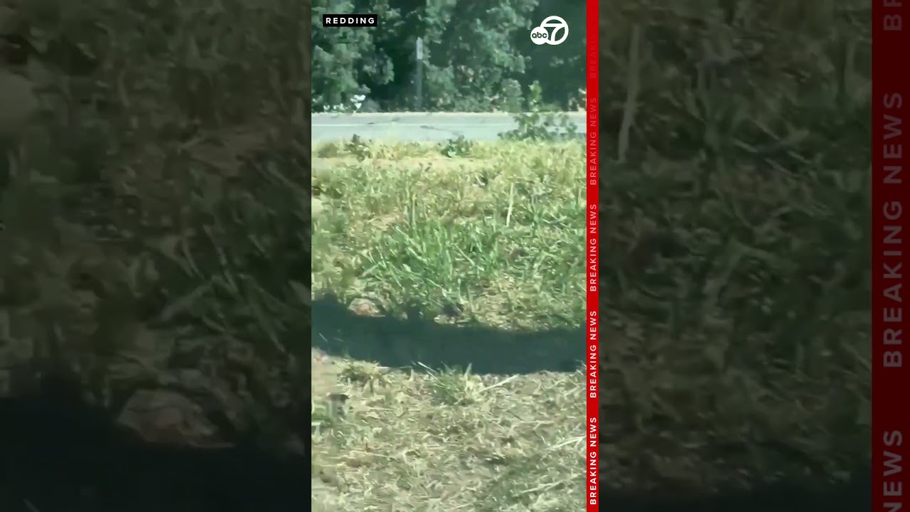 Shocking Footage: Man Threatens Officer with Rifle During Traffic Stop π