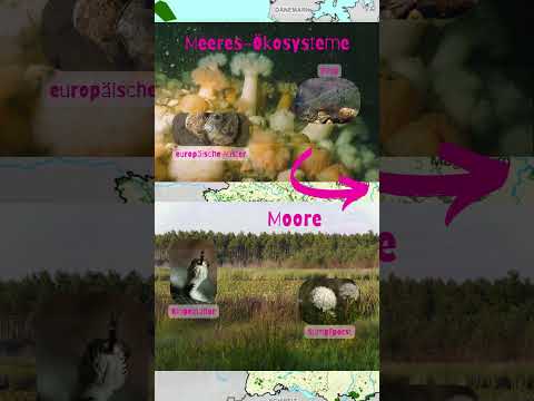 noch 9 Tage bis zur BTW25