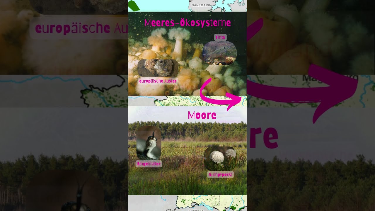 Nur noch 9 Tage bis BTW25: Grüne für Naturschutz 🌿