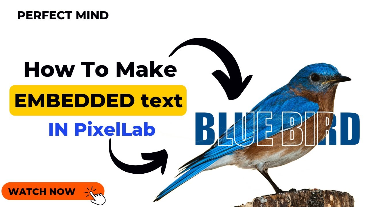 Embedded Text Trick in PixelLab | How to Create Embedded Text in PixelLab | PerfectMind | #PixelLab