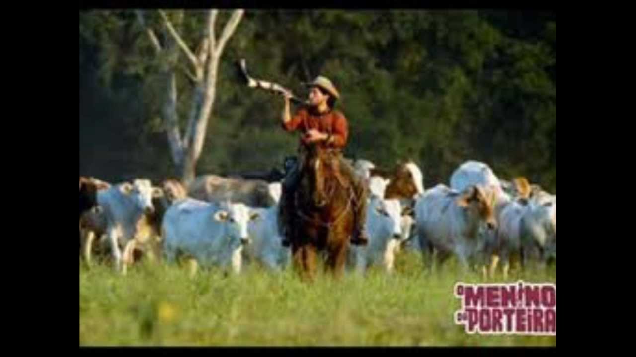 Poeira Da Estrada - João Paulo & Daniel 🎶