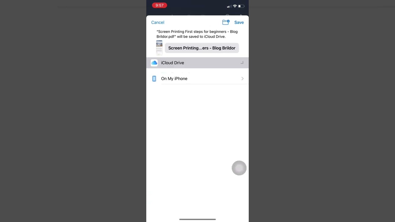 Save Webpages as PDFs on iPhone & iPad 📱 | Easy Step-by-Step Guide