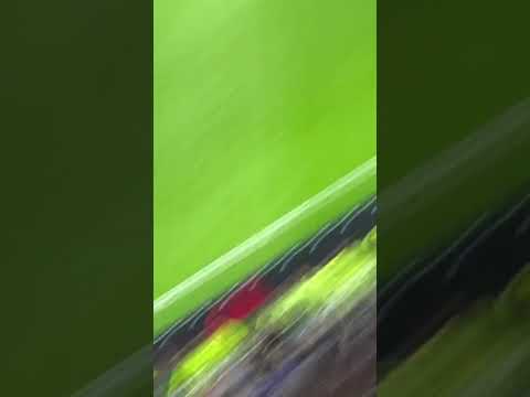 PENALTY POUR LâEUROPA LEAGUE - OL RCSA đ