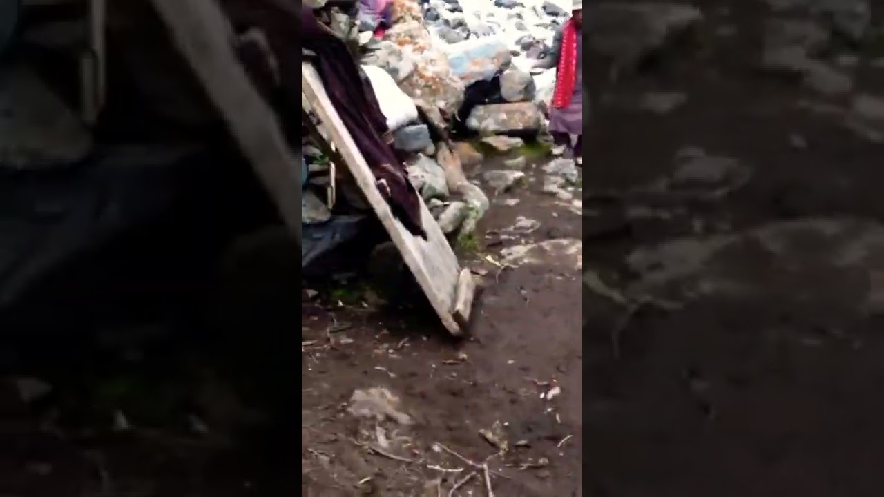 Balti Lifestyle in Short #shorts