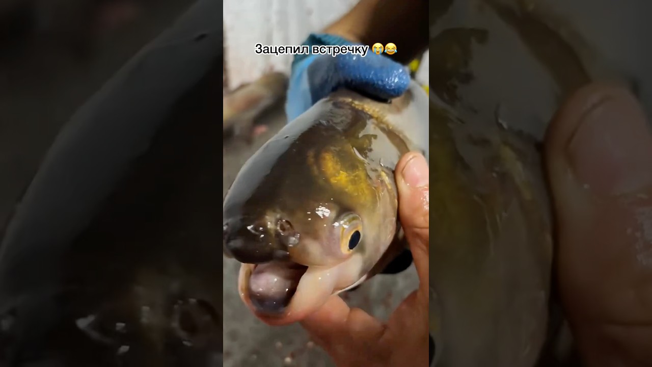 Что думаешь о рыбалке? 🎣