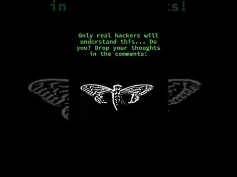 Hackwire mind maze #youtube #cybersecurity #shortvideo