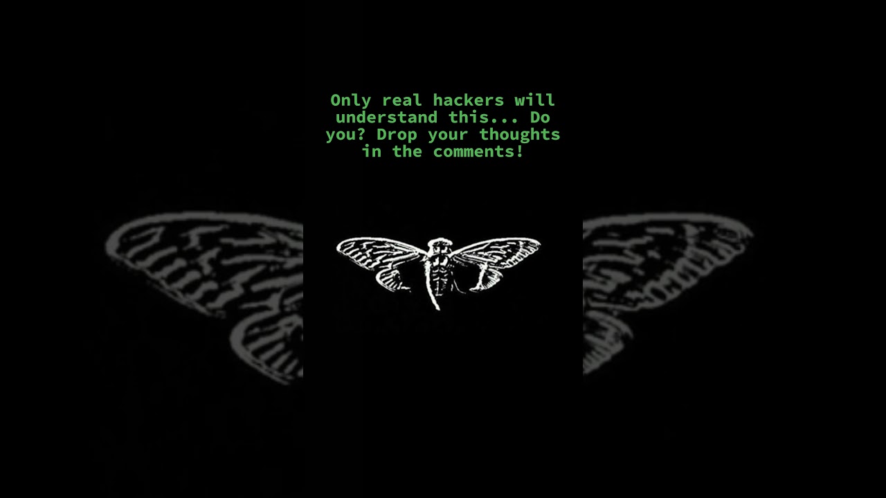 CICADA 3301 Challenge: Are You Clever Enough to Crack the Internet’s Biggest Mystery? 🔍