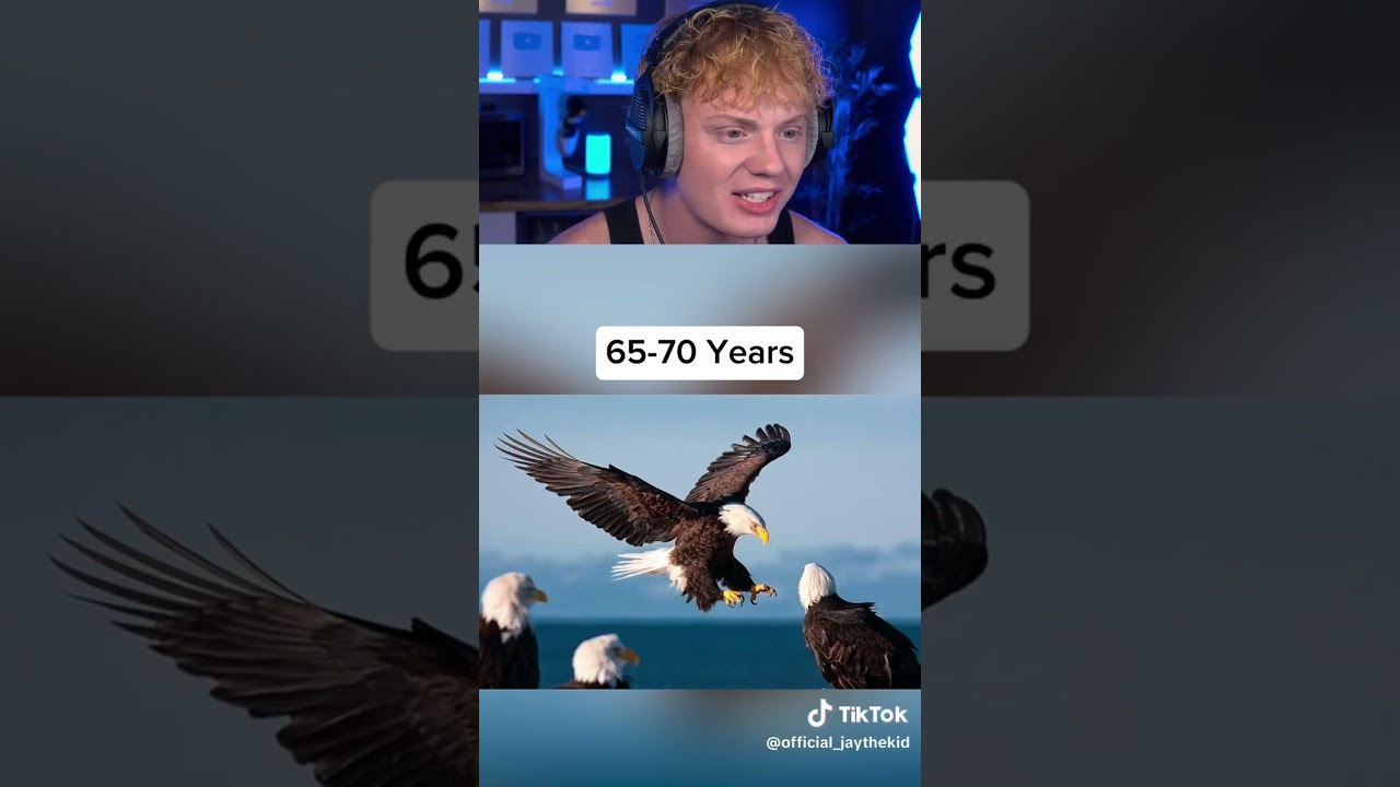 This Animal Can Survive 15,000 Years! 🤯