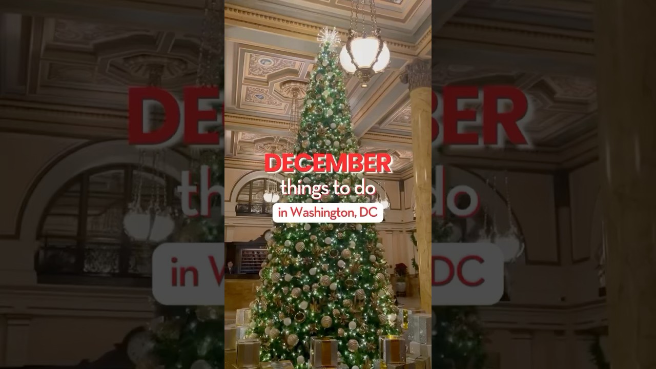Top Things to Do in Washington DC This December ✨