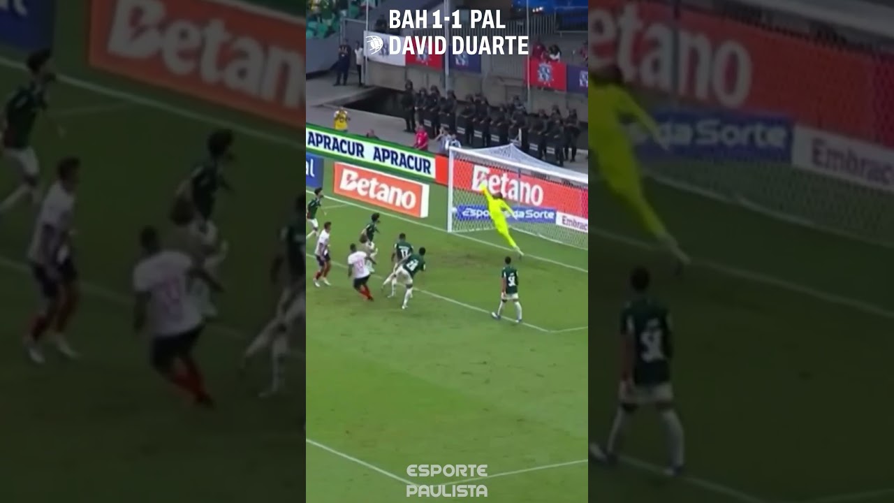 Bahia 1x2 Palmeiras: Last-Minute Own Goal Secures Verdão's Win ⚽