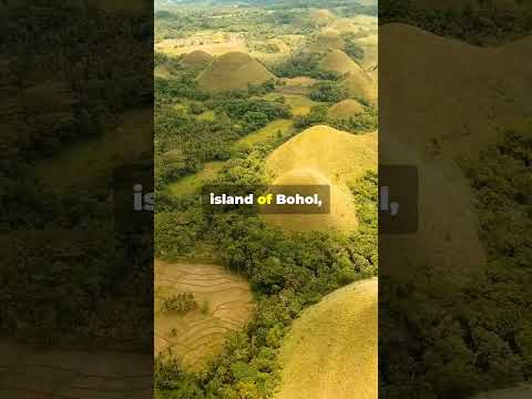 The Sweetest Natural Wonder: Chocolate Hills of Bohol! 😲