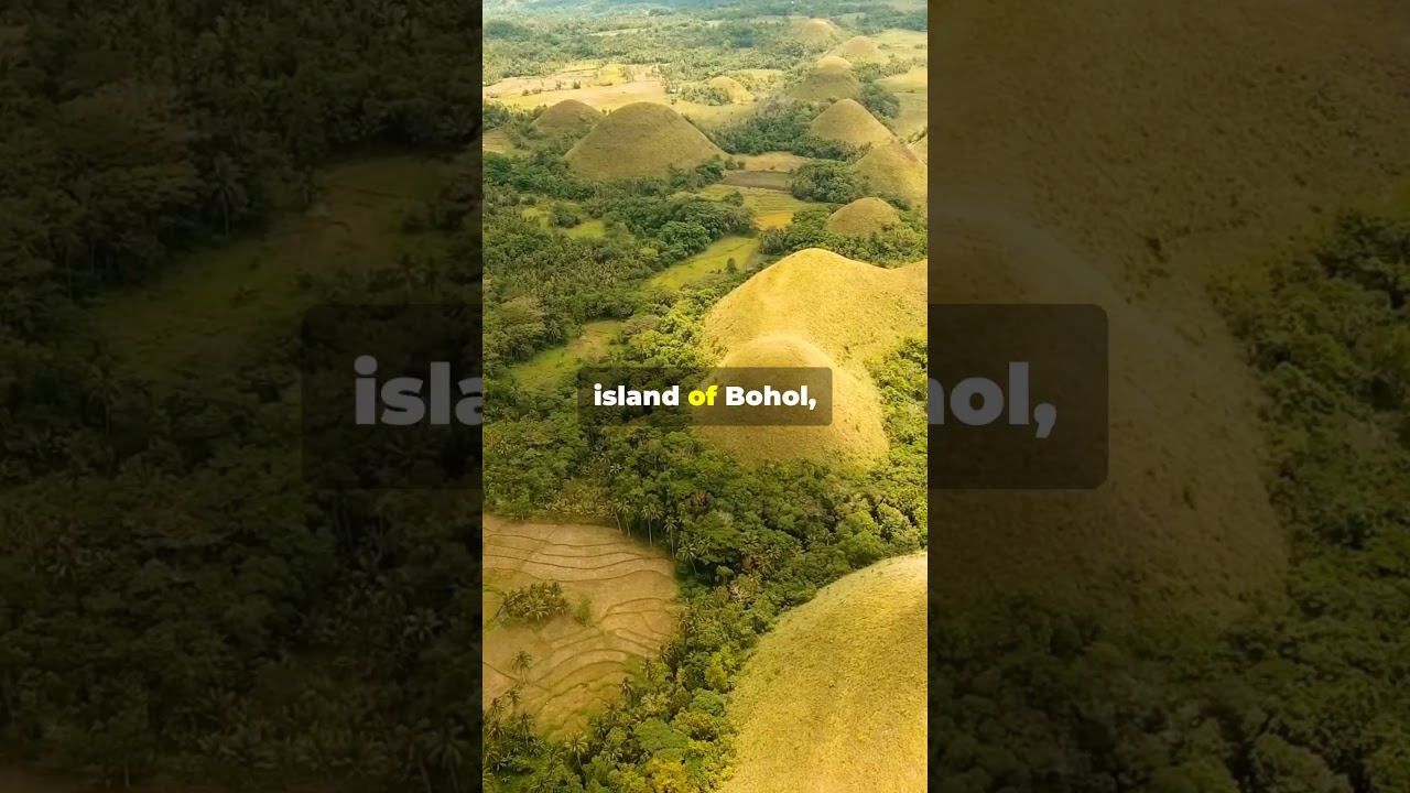 The Chocolate Hills of Bohol: A Natural Marvel