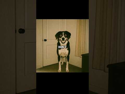 Don’t Ignore Your Dog At Midnight #scary #shorts #creepy