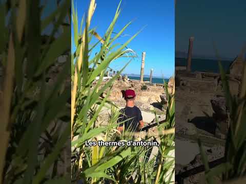 3 ACTIVITÉS À NE PAS MANQUER À TUNIS #tunisie #voyage