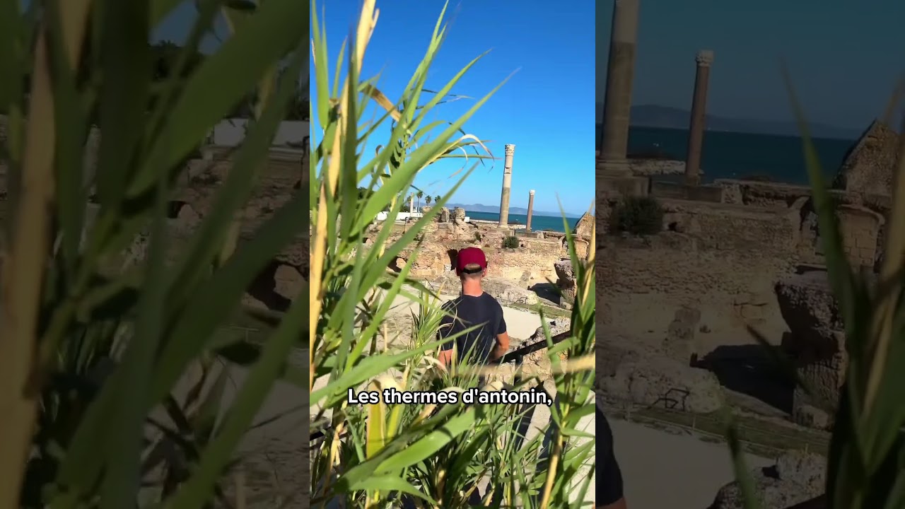 3 Activités Incontournables à Tunis 🇹🇳