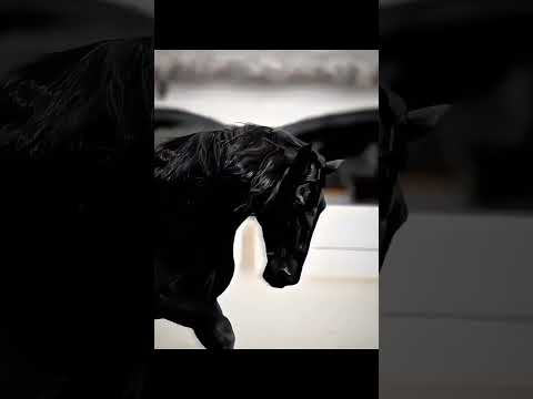 #coversong #любовь #billieeilishpiano #романтическаямузыка #люблю #каверы #стихи #душа #топ