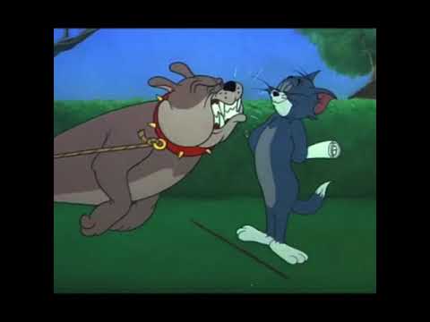 Funny Narrating of Tom Beating Up Spike [Tom & Jerry]