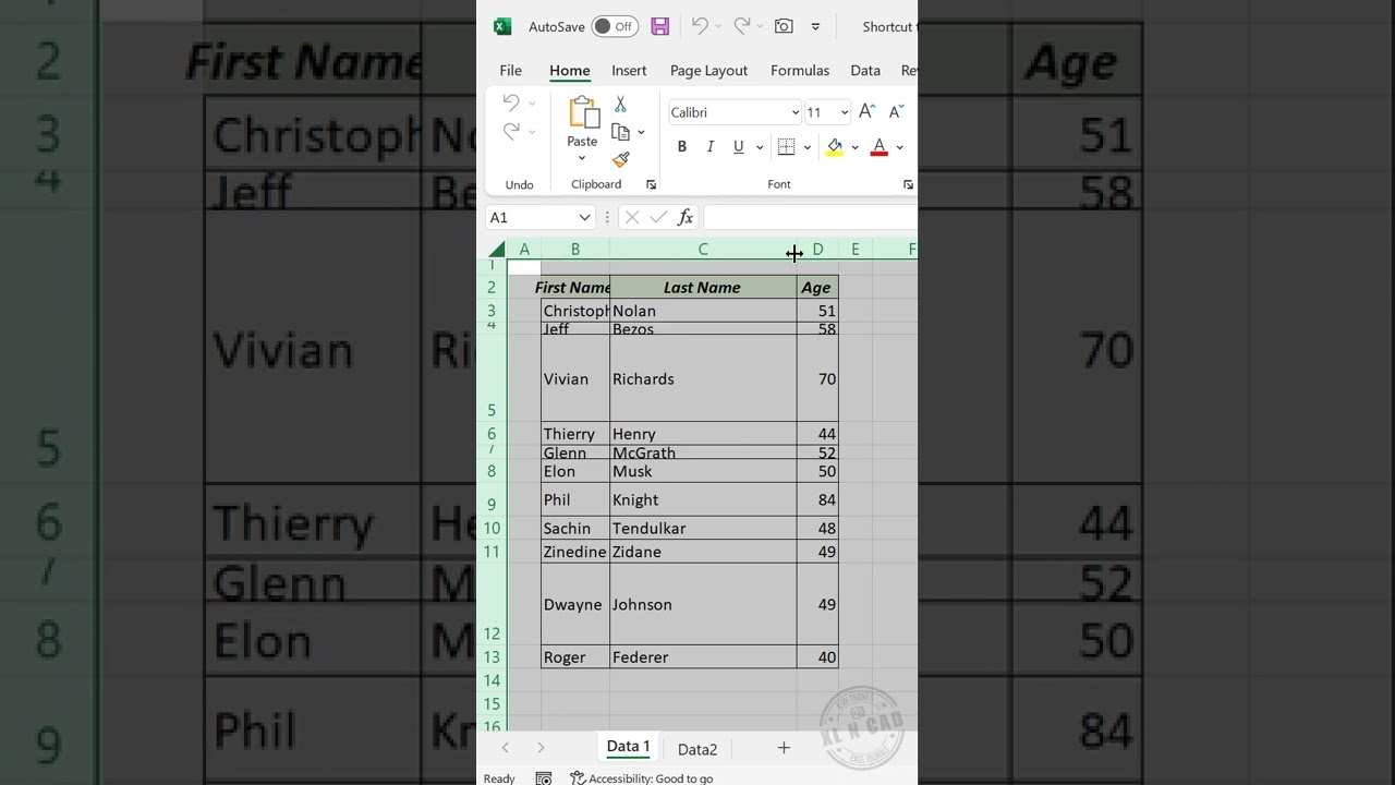 Autofit Columns & Rows in Excel 📊