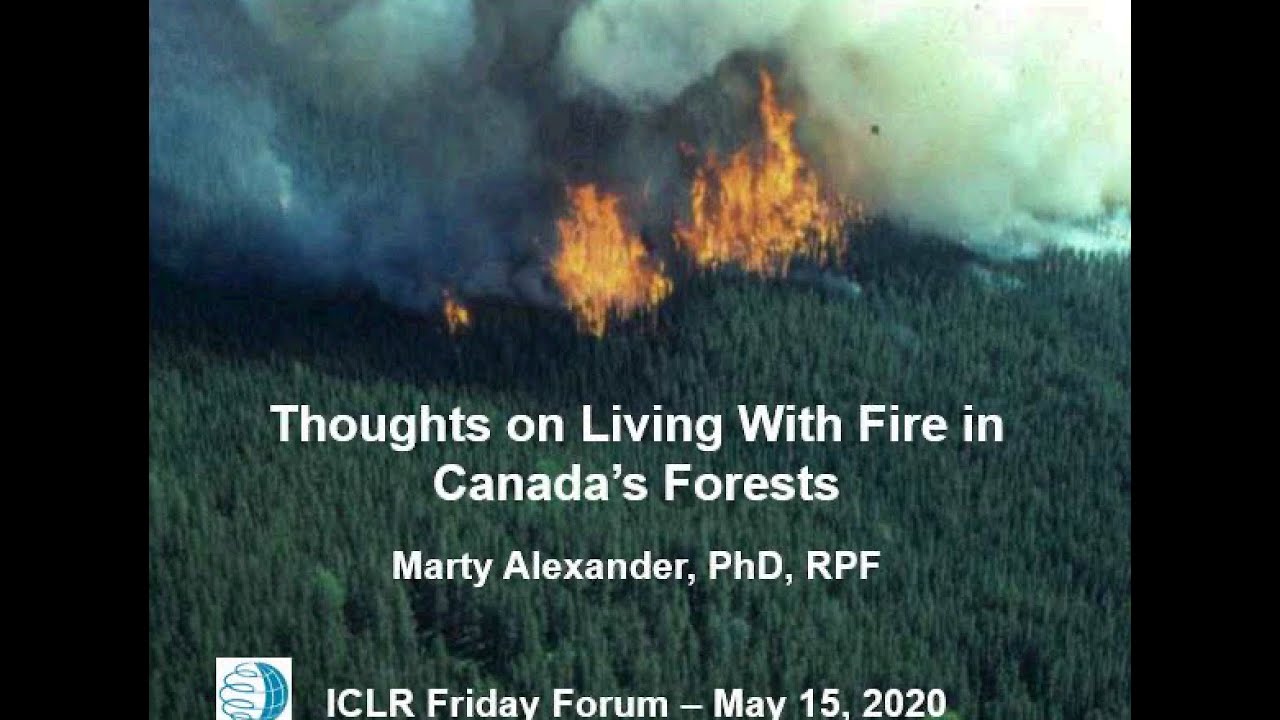 ICLR Forum: Managing Wildfires in Canada's Forests 🔥