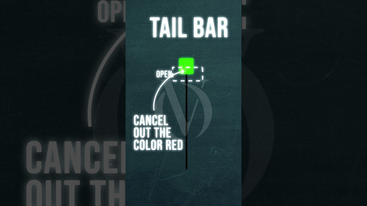 Bull 180 vs Tail Bar Comparison 🏋️‍♂️