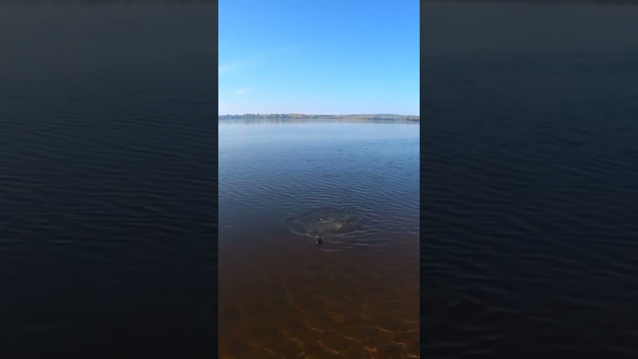 Ловля крупного леща на Каме 🐳 — Идеальный день на рыбалке!