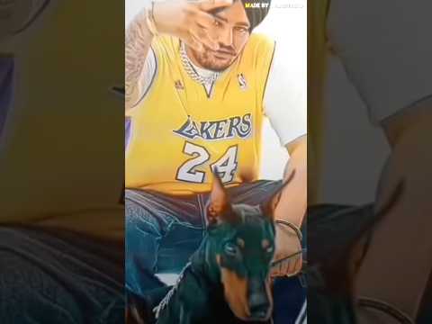 rack on racks | navaan sandhu | new punjabi song | lyrics edit video | #shortsfeed #shorts !