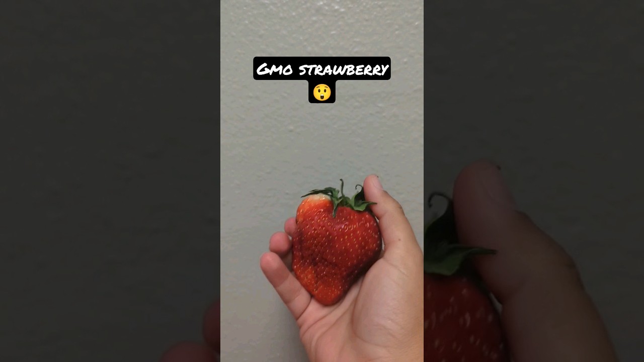GMO vs Non-GMO Strawberries π