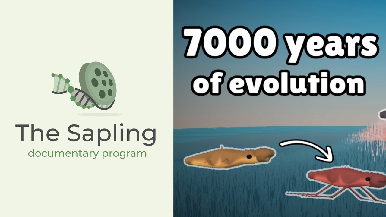 The Sapling Documentary Trailer 🌱 (EN/FR)