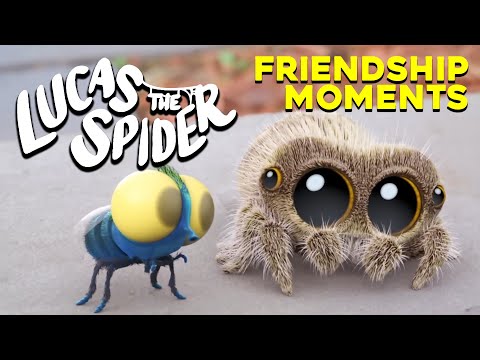 The BEST Lucas and Findley Friendship Moments! | Lucas The Spider