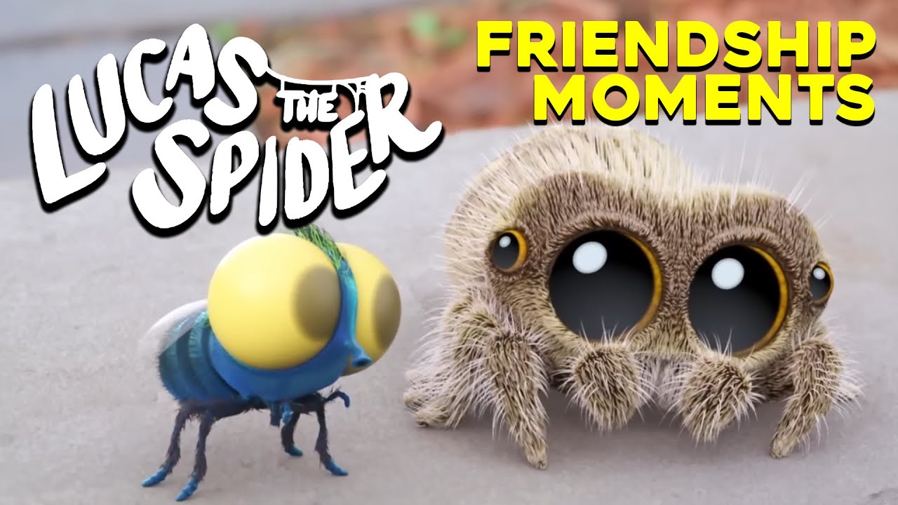 Heartwarming Lucas & Findley Friendship Moments 🕷️ | Best Compilation!